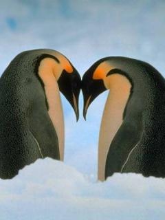 Other Wallpapers 0703